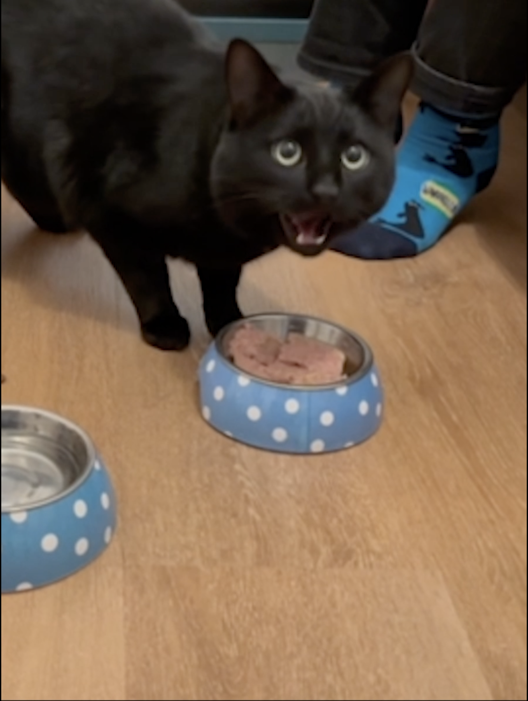 Bildschirmfoto 2026-01-23 um 21.22.49